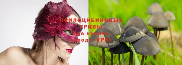мдпв Армянск