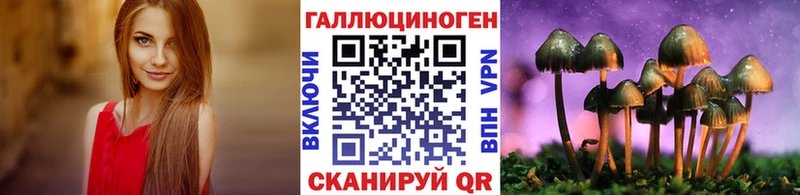 Галлюциногенные грибы Cubensis  дарнет шоп  Байкальск 